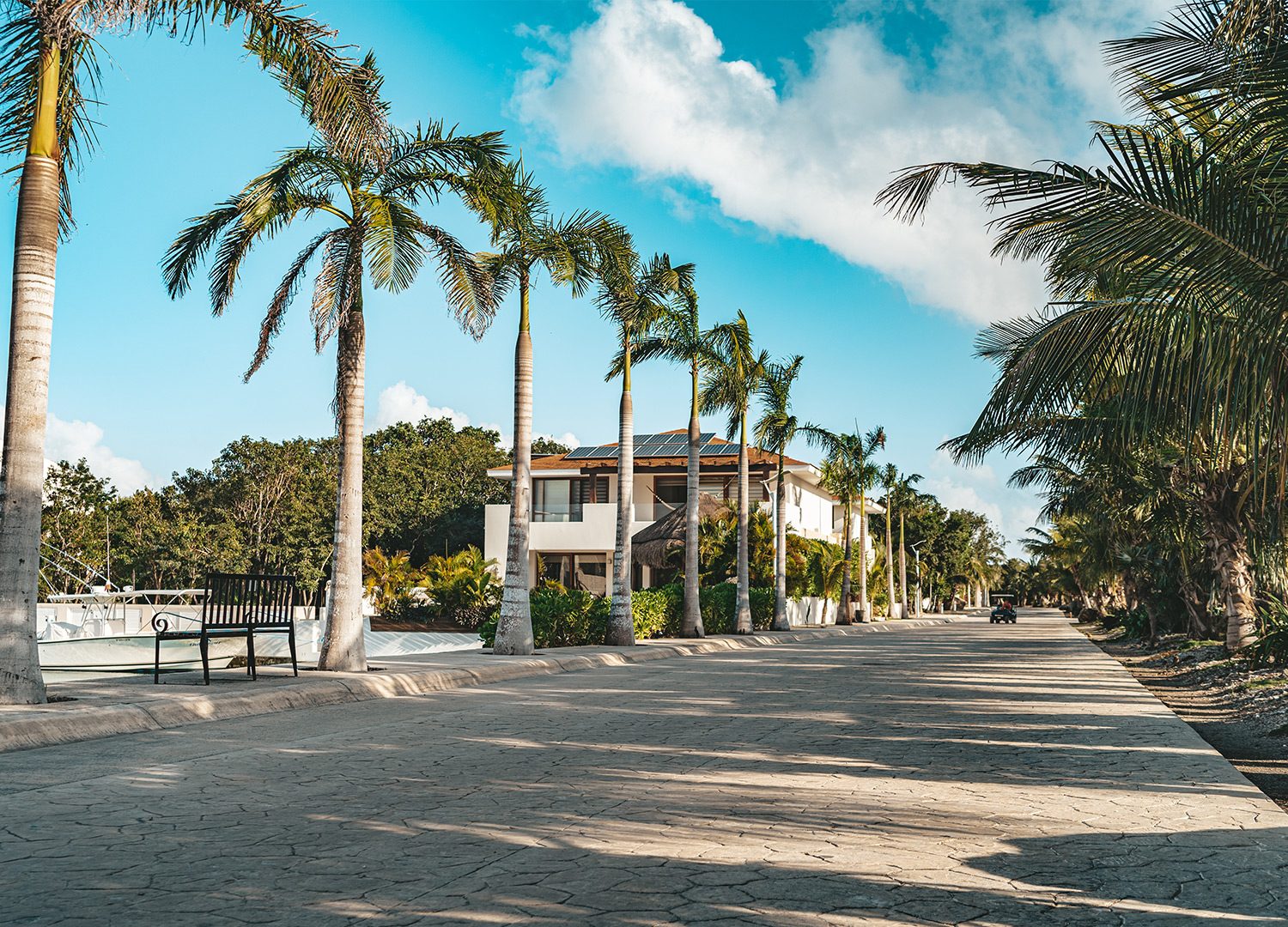 Golf & jungle view · Puerto Aventuras